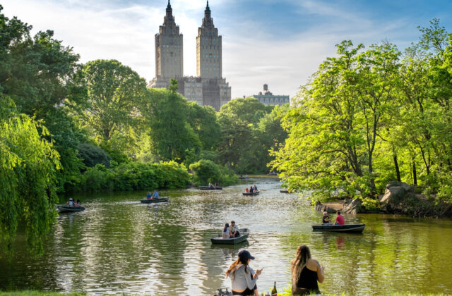 people boating in a river surrounded by trees